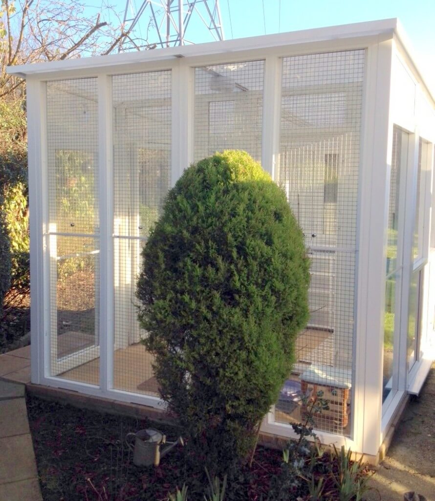 Pedigree Pens Cattery Gallery Pedigree Pens Ltd