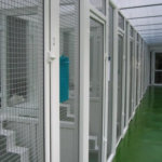 Patz Catz, Southampton