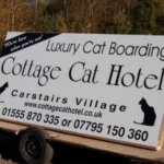 Cottage Cat Hotel, South Lanarkshire