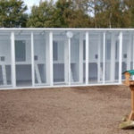 Cottage Cat Hotel, South Lanarkshire