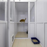 Ivy Cattery, Merseyside