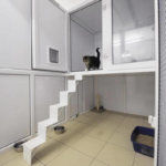 Ivy Cattery, Merseyside