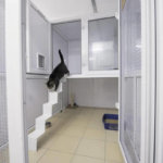 Ivy Cattery, Merseyside