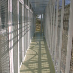 Lovaton Boarding Cattery, Launceston, Cornwall