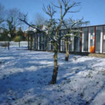 Martlets Cattery, East Sussex