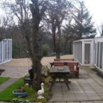 Dobbs Cattery, Dublin, Ireland