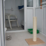 Milky Whiskers Cattery, Co. Meath, Ireland