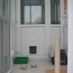 Milky Whiskers Cattery, Co. Meath, Ireland