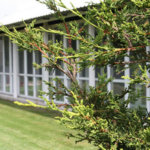 Northwoods Cattery, Bristol