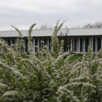 Northwoods Cattery, Bristol