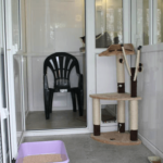 Northwoods Cattery, Bristol