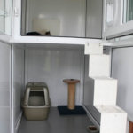 Northwoods Cattery, Bristol