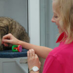 Quintessential Quarters, Cattery