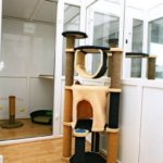 Quintessential Quarters, Cattery