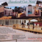 Beechcroft Cats Hotel, Caerphilly