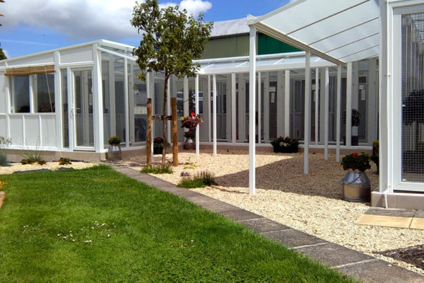 Clearwood Boarding Cattery