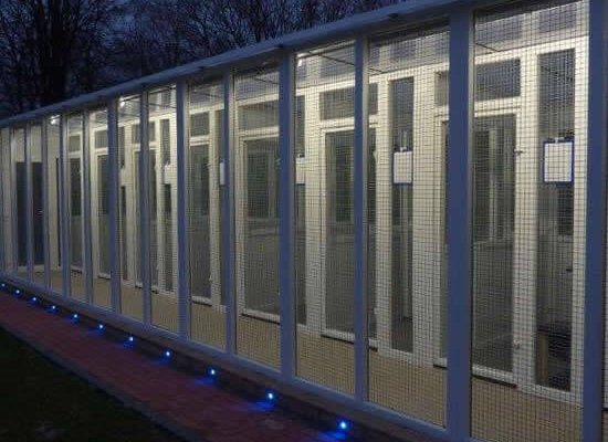 Bleugems Country Club Cattery, Hampshire