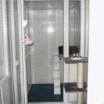 Temple Pan Baording Cattery, Hertfordshire