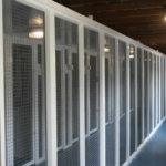 Temple Pan Boarding Cattery, Hertfordshire