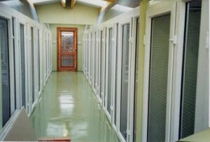 Witherley Cattery, Warwickshire