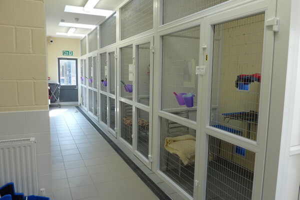 uPVC Cattery, Blue Cross, Bromsgrove