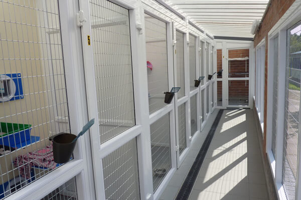 uPVC Cattery, Blue Cross, Bromsgrove