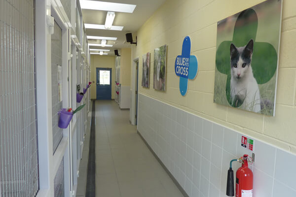 Blue Cross, Bromsgrove