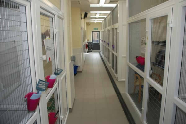 uPVC Cattery, Blue Cross, Bromsgrove