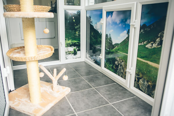 hanbury-cattery-1