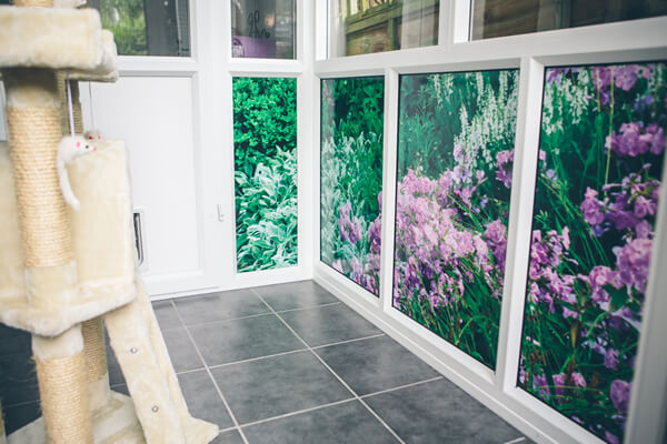 hanbury-cattery-4