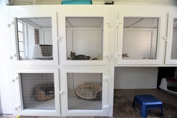 Redditch Cat Rescue - Rescue cat pens