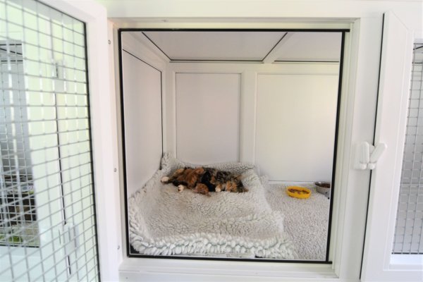Redditch Cat Rescue - Rescue cat pens