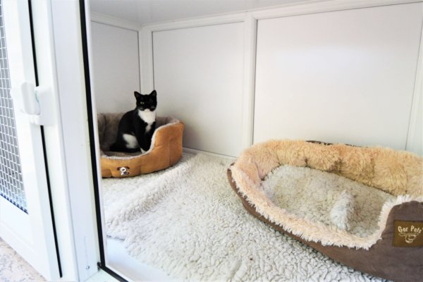 Redditch Cat Rescue - Rescue cat pens