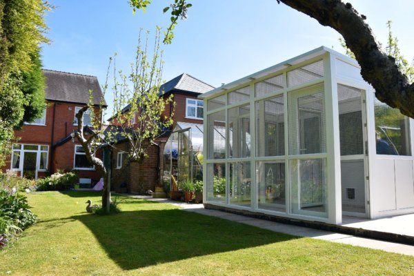 Redditch Cat Rescue - Rescue cat pens