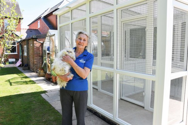 Redditch Cat Rescue - Rescue cat pens