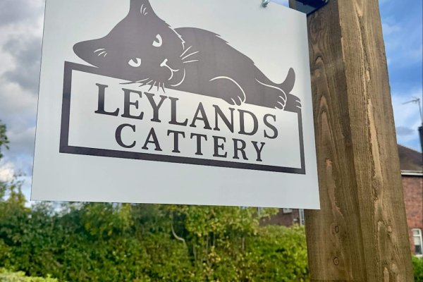 leylands-cattery-sign
